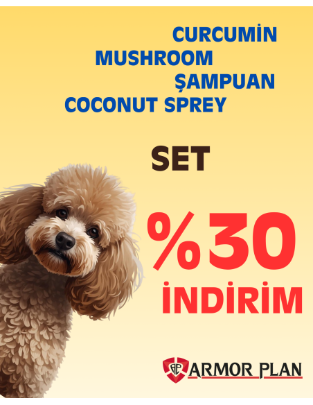 Curcumin + Mushroom + Shampoo + Coconut Spray Set