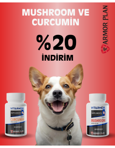Curcumin + Mushroom