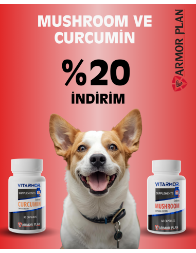 Curcumin + Mushroom