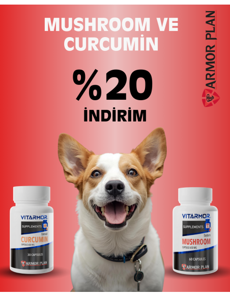 Curcumin + Mushroom