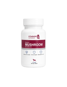 ✅ Vitarmor Eastern Mushroom Complex köpek bağışıklık takviyesi 60 kapsül kutu