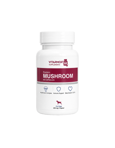 ✅ Vitarmor Eastern Mushroom Complex köpek bağışıklık takviyesi 60 kapsül kutu