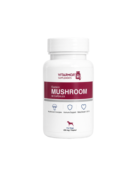 ✅ Vitarmor Eastern Mushroom Complex köpek bağışıklık takviyesi 60 kapsül kutu