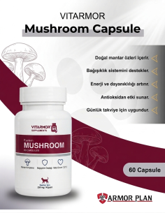 ✅ Vitarmor Eastern Mushroom Complex köpek bağışıklık takviyesi 60 kapsül kutu 2