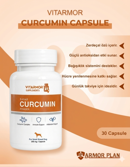 kucuk ırk kopek bagısıklık guclendırıcı
