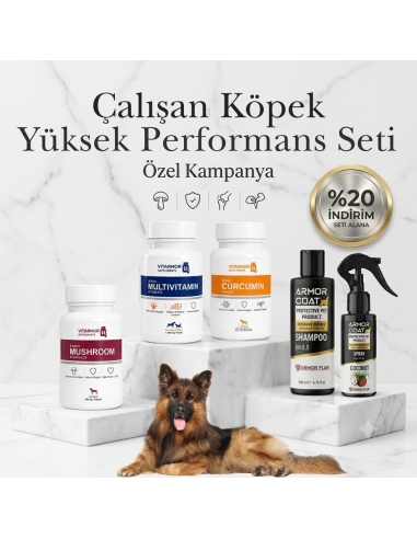 Çalışan Köpek Yüksek Performans Seti