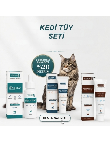 Kedi Tüy Seti