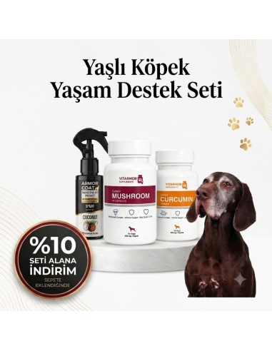 Yaşlı Köpek Yaşam Destek Seti