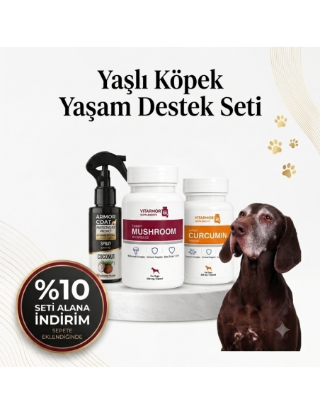 Yaşlı Köpek Yaşam Destek Seti