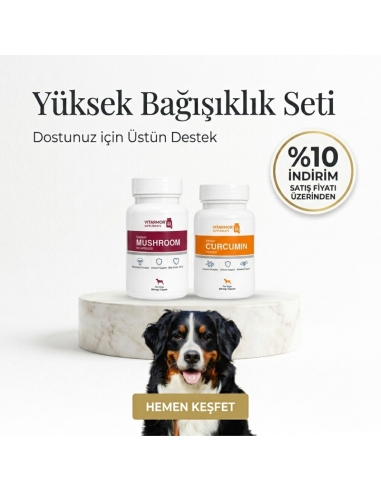 Yüksek Bağışıklık Seti