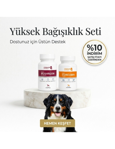 Yüksek Bağışıklık Seti