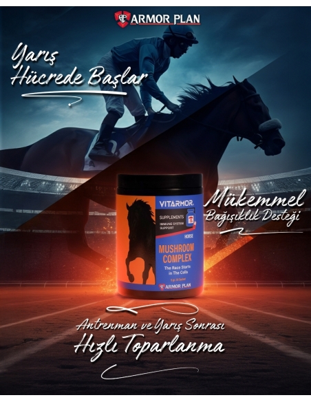 Horse Mashroom Complex 5 Gr. 30 Şase