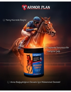 Foal Mashroom Complex 3 Gr. 30 Şase 2