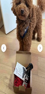 imagealt