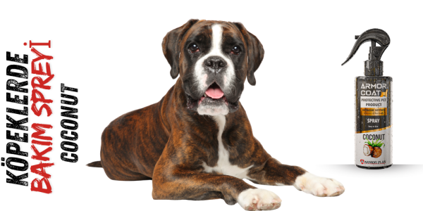 KÖPEKLERDE COCONUT SPREY KULLANIMI