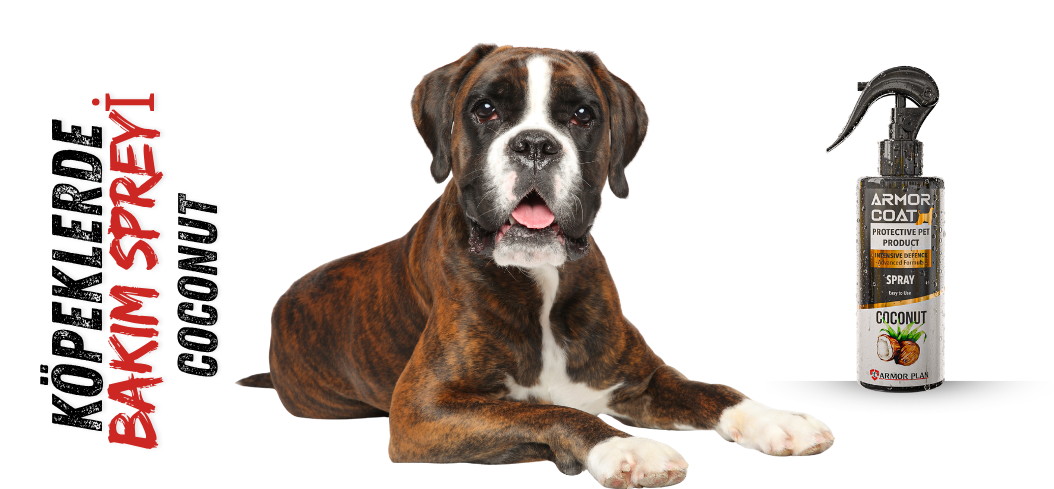 KÖPEKLERDE COCONUT SPREY KULLANIMI